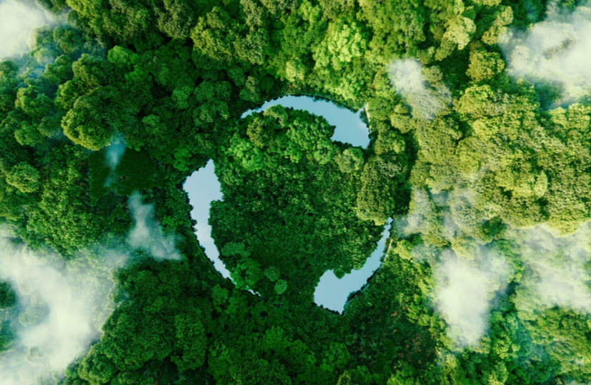 Ao encerrarmos mais um capítulo, torna-se cada vez mais evidente que a sustentabilidade deixou de ser apenas uma visão de futuro.