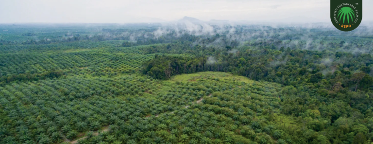 Roundtable on Sustainable Palm Oil